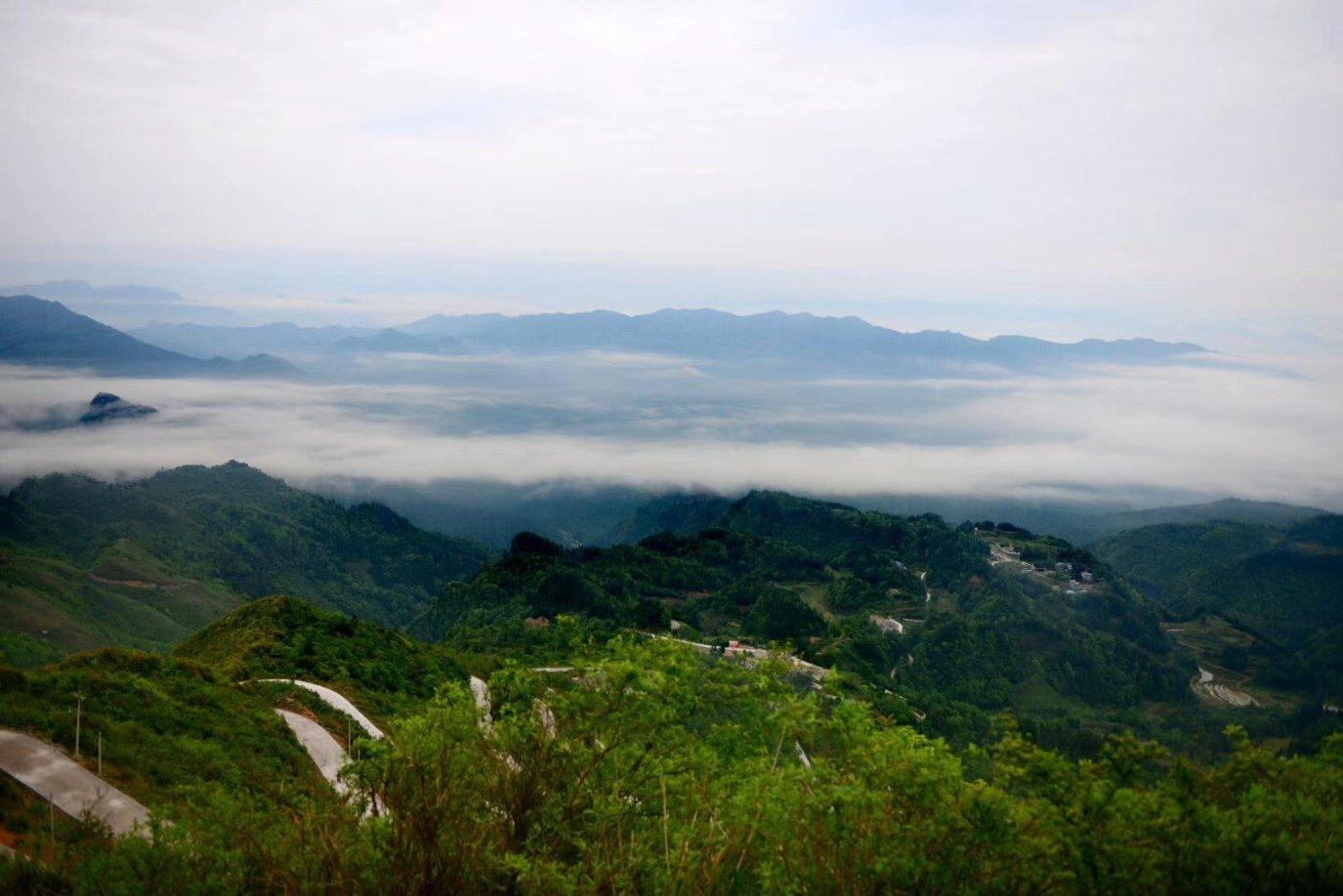 小球进黑洞