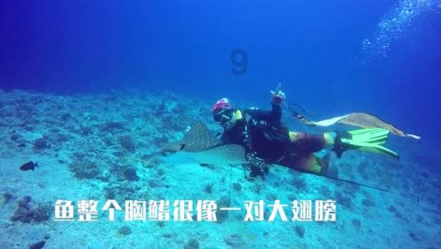反方向的钟的歌词有哪些？游戏画面